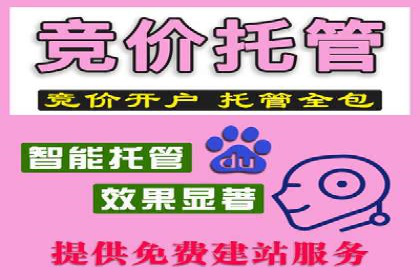SEM外包公司案例：打造高效营销策略